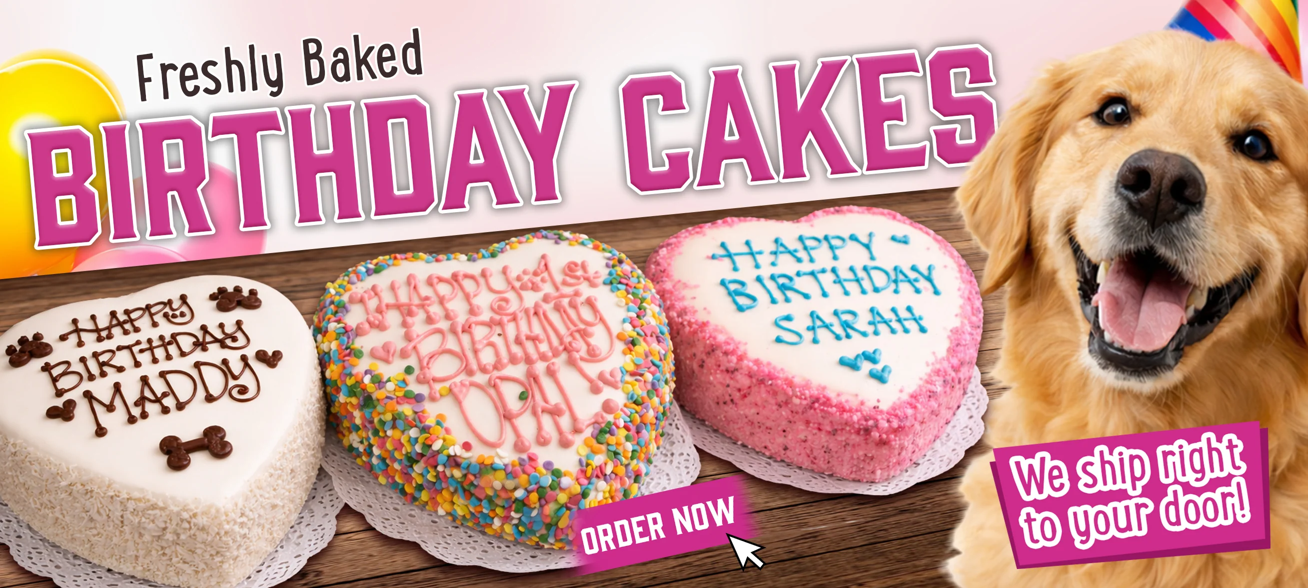 Fresh-Baked Treats for Happy Tails